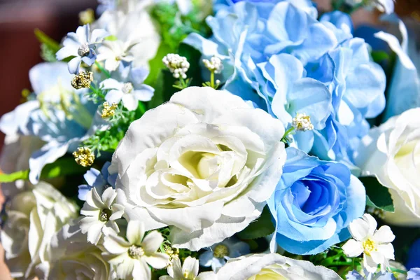 renkli Suni çiçekler 