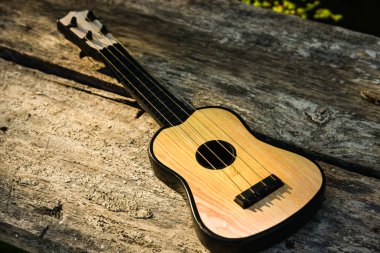Oyuncak akustik gitar