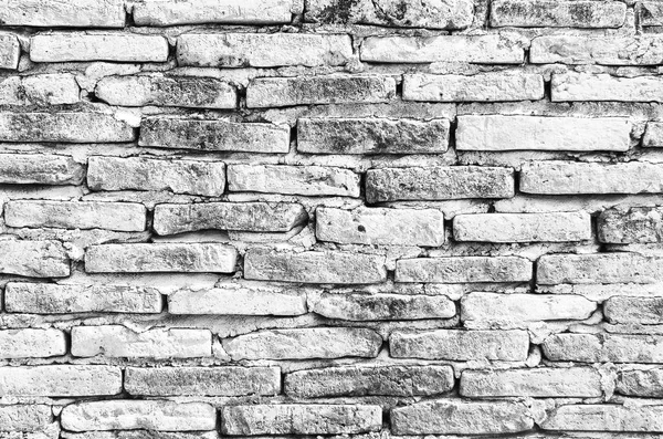 Mur en brique blanche — Photo