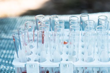 Laboratuvar bilim araştırma cam öğelerini damla birkaç test tüpleri birine ekleme. Bilimsel deneyde Bilim Araştırma Laboratuvarı.