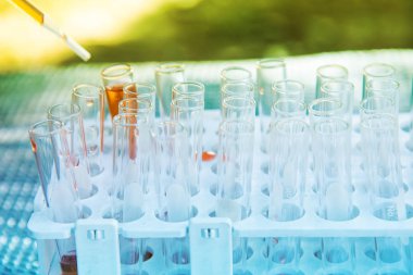 Laboratuvar bilim araştırma 