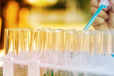 Laboratuvar bilim araştırma cam öğelerini damla birkaç test tüpleri birine ekleme. Bilimsel deneyde Bilim Araştırma Laboratuvarı.