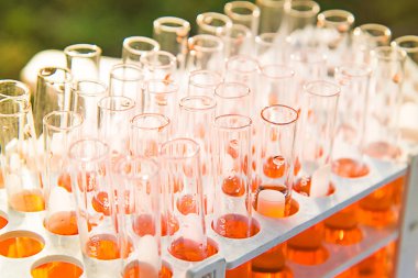 Laboratuvar bilim araştırma 