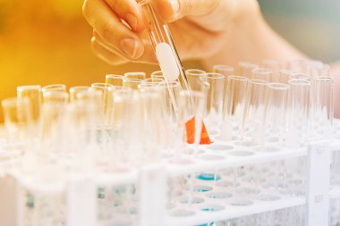 Laboratuvar bilim araştırma 