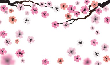 Sakura twigs with pink flowers  on a white background. flat styl