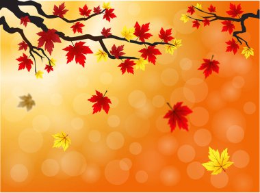 Autumn maple leaves background use for decorate, website, logo etc . vector illustration