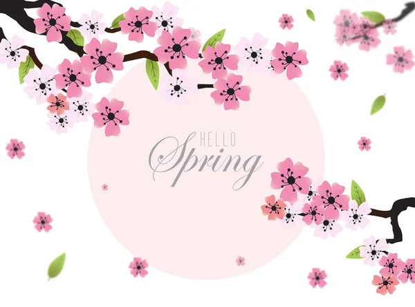 Flores Sakura Rosa Claro Florecientes — Archivo Imágenes Vectoriales