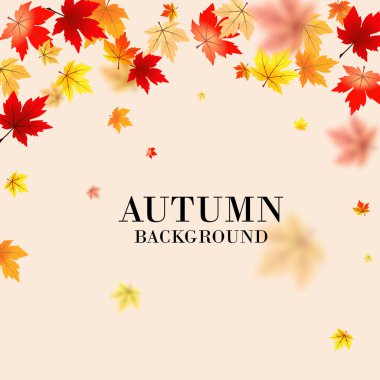 Autumn maple leaves background use for decorate, website, logo etc . vector illustration