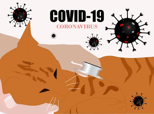 Veterinario Examinando Gatito Enfermo Covid Hospital Animales Ilustración Vectorial — Vector de stock