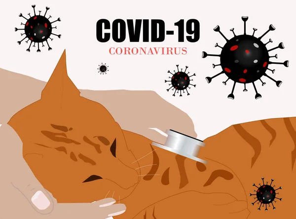 Veterinario Examinando Gatito Enfermo Covid Hospital Animales Ilustración Vectorial — Vector de stock