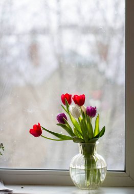 Camda bir sürü lale var..