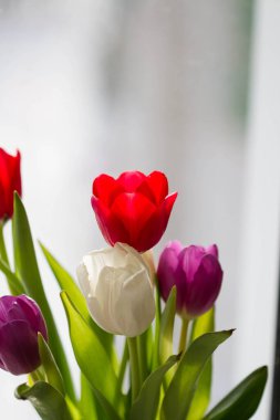 Hafif arka planda bir buket lale..