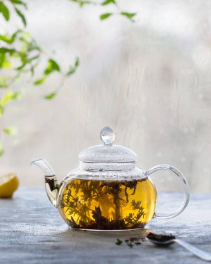 Açık gri arkaplanda şeffaf bir çaydanlıkta yeşil çay.