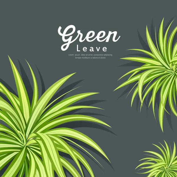 Vector pandanus tree green leaves background — Stock Vector