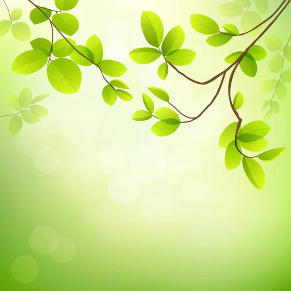 Verse tropische groene bladeren op natuurlijke achtergrond — Stockvector