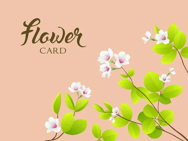 Vektor, vit blomma och lämna gratulationskort — Stock vektor