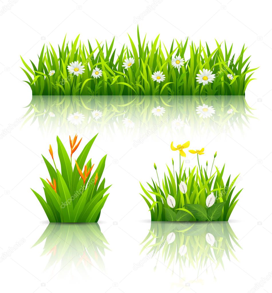 Beautiful flowers with green leaves collections background