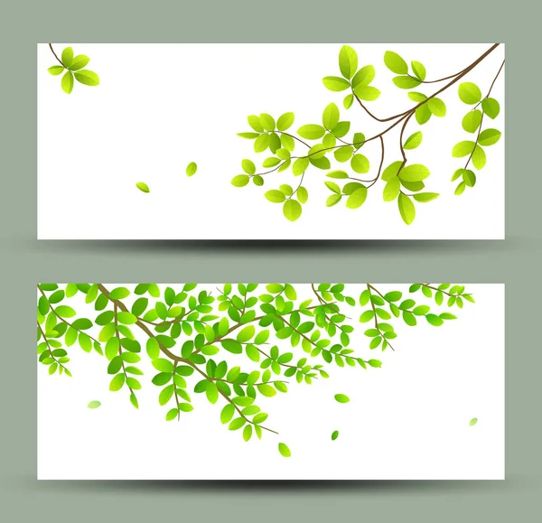Tropicale verde foglie bandiere collezioni isolate — Vettoriale Stock
