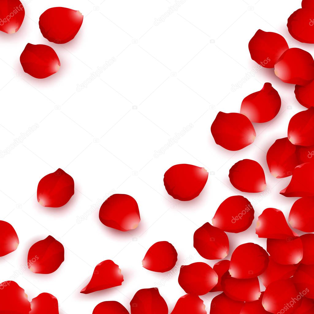 Vector Red rose petals valentines concept isolated on white background, illustration