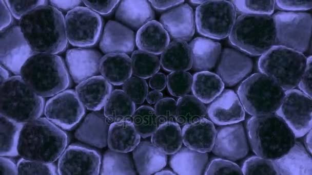 Синій рухомих клітин — стокове відео