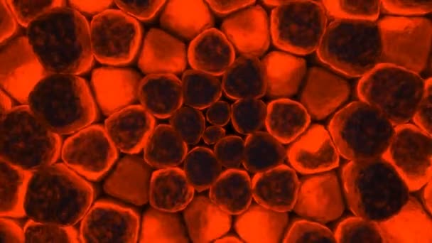 Оранжевые клетки — стоковое видео