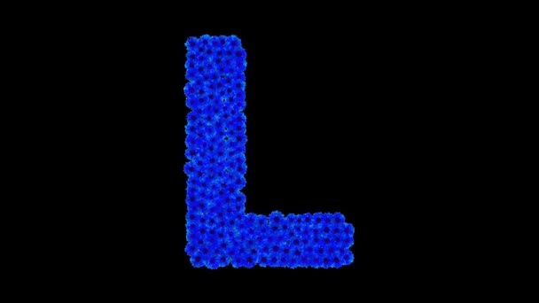 Písmeno L vyrobený z chrpy — Stock video