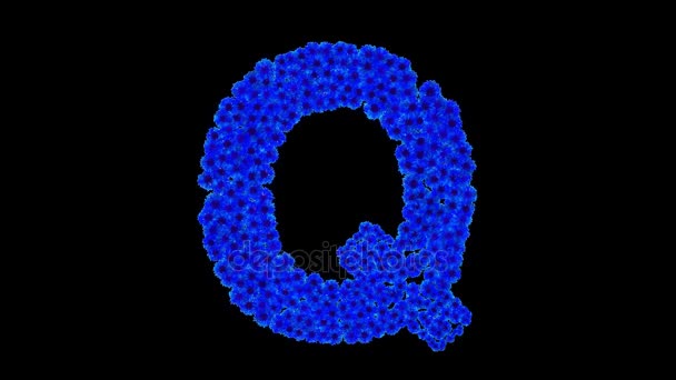 Letter Q made of cornflowers — Stock Video