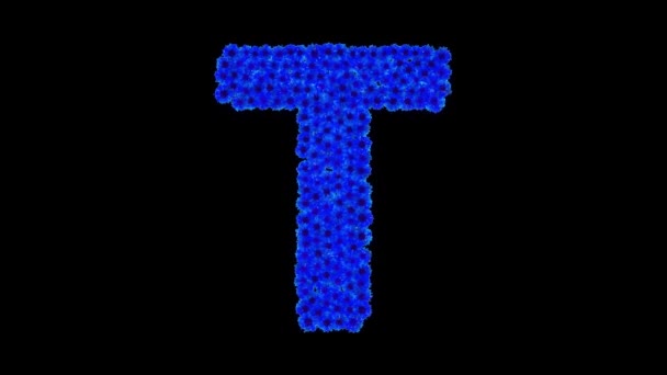 Letra T hecha de acianos — Vídeo de stock