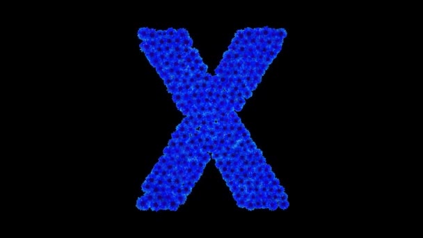 Bokstaven X gjort av blåklint — Stockvideo