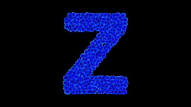 Буква Z из васильковых цветов — стоковое видео
