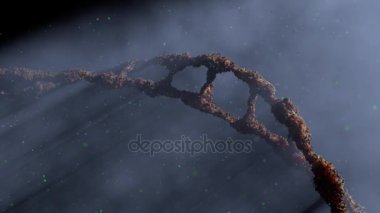 Yüksek Dna döndürme duman hücre çekirdeği içinde ayrıntılı