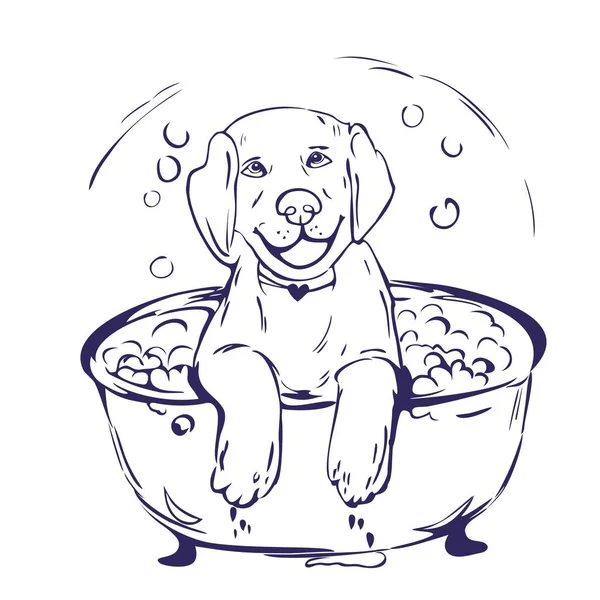 Baño de perro ilustración grática Ilustración de stock