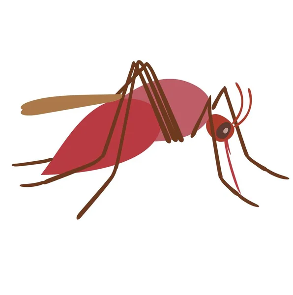 Mosquito vektorové ilustrace — Stockový vektor