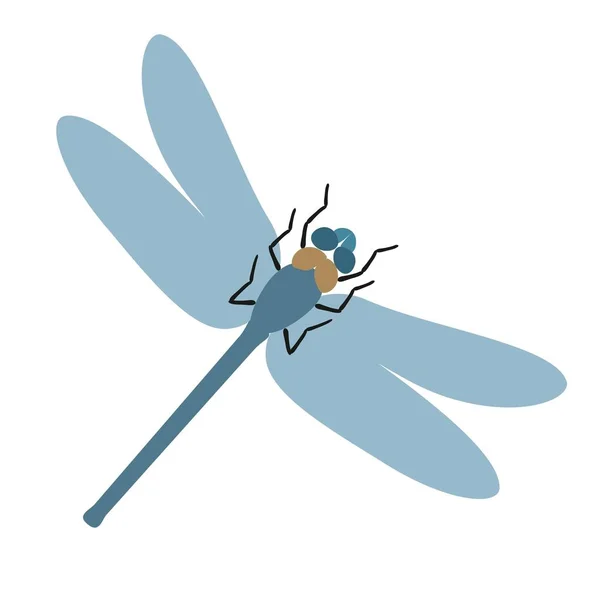 Plochá dragonfly vektorové ilustrace — Stockový vektor