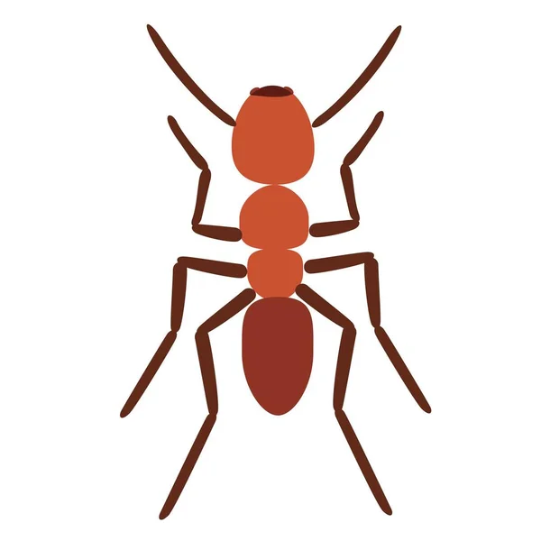 Ilustracja wektorowa mrówka na białym tle — Wektor stockowy