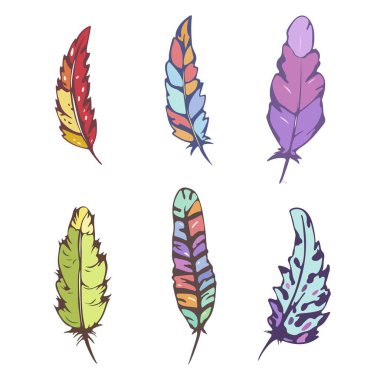 Dekoratif Kuş tüyü vektör set