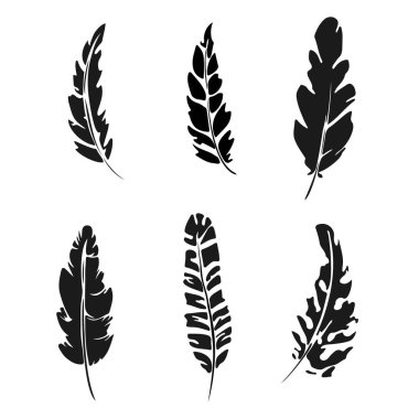 Tüy küme. Siyah siluet tüy vektör çizim