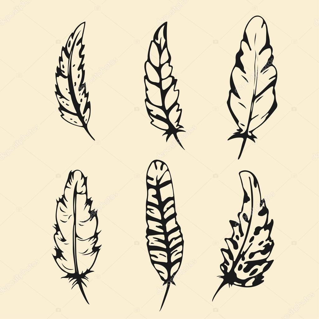 Download Hand drawn Feather set. Outline silhouette feather vector ...