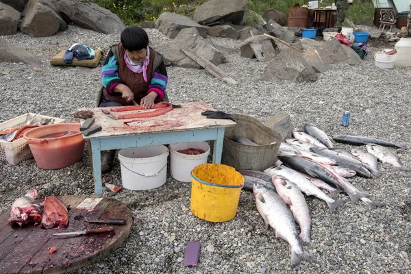 Senior Chukchi Woman Cuts Just Catched Sallmon Sea Shore Prepared — Stock Photo, Image