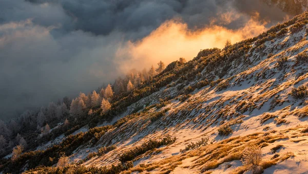 Mistige landschappen in de bergen — Stockfoto