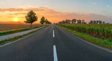 Sunrise Slovenya'da giden yol.