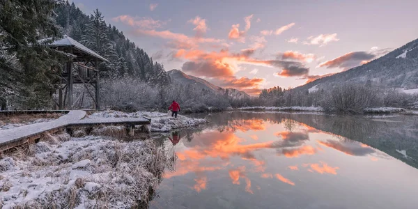 Zelenci Springs güzel gündoğumu