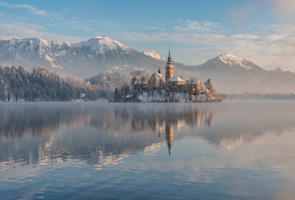 Sjön Bled med kyrkan — Stockfoto
