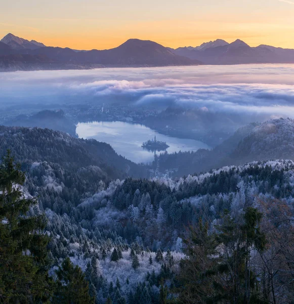 Lake Bled bir sisli sabahı — Stok fotoğraf