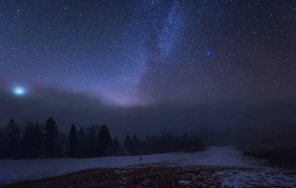 Forêt, neige et étoiles — Photo