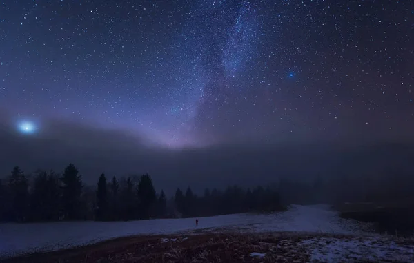 Bosque, nieve y estrellas — Foto de Stock