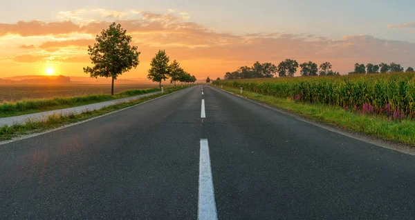 Sunrise Slovenya'da giden yol.