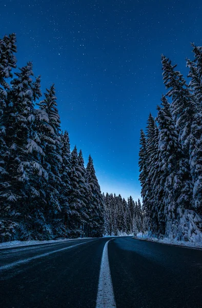 Gece yıldızların altında