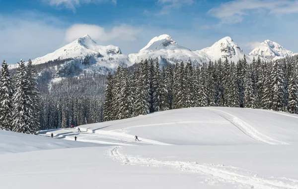 Paisaje del bosque de invierno con cabañas — Foto de Stock