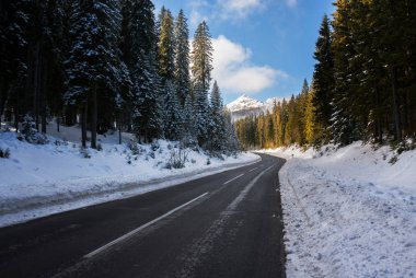 Kış ormanı Pokljuka üzerinde yol